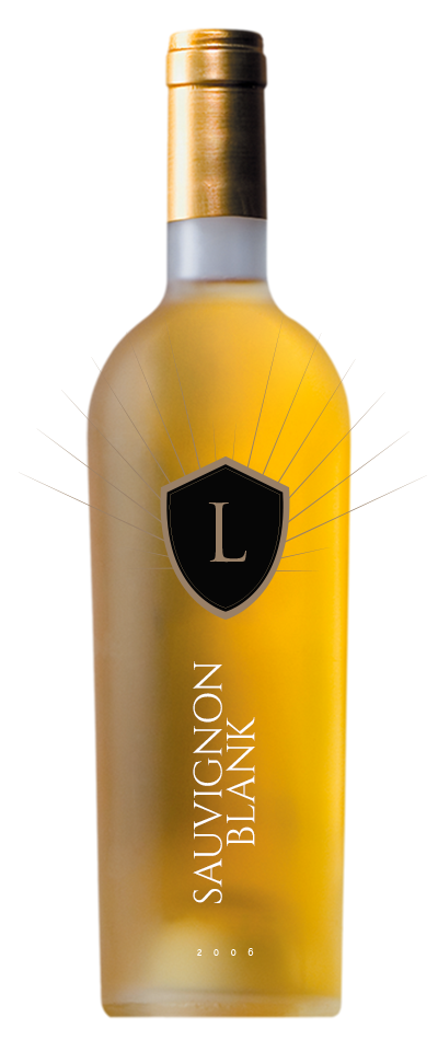 2010 Sauvignon Blank